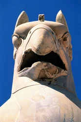 Tête d